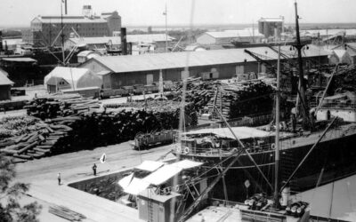 Nobody remembers Frederick Stevens: el caso del Cementerio Británico