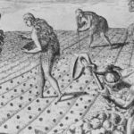 Pequeñas historias en un gran escenario