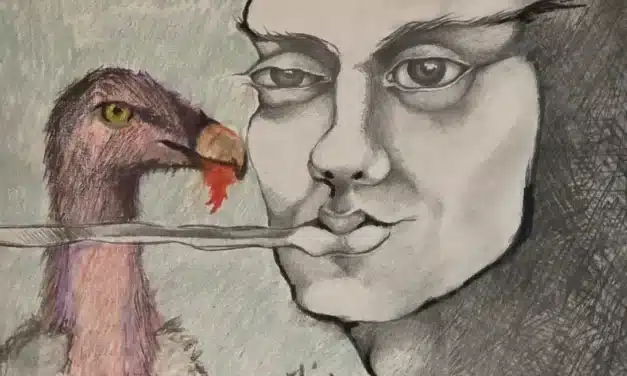 IV. El pajarero de Curicó